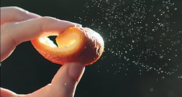 Essential oils - orange peel