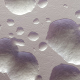 Колонии на бактерията E.coli (неоцветени, бели)