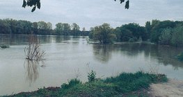 High tide at the Danube