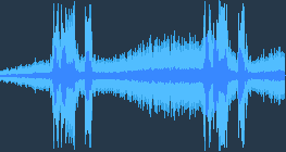 Eurasian collared dove