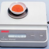 Laboratory weighing scale