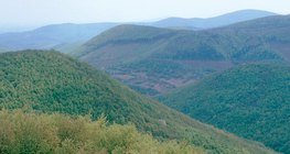 Fault block mountains