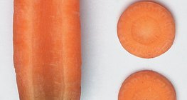 Longitudinal section and cross sections of a carrot