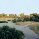 Low tide at the Danube