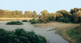 Low tide at the Danube