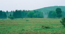 Bükk Plateau (Hungary)