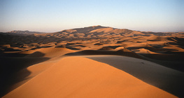 Dunes in the Sahara