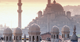 View of Istanbul with a mosque
