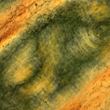 偏光下の人間の指の肌の襞