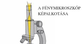 A fénymikroszkóp képalkotása