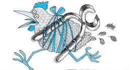 Gyöngytyúk, oldalára kötözött harapófogóval 