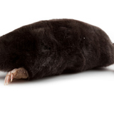 Европейска къртица