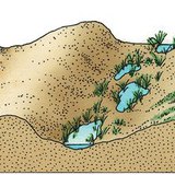 Sand dunes formation