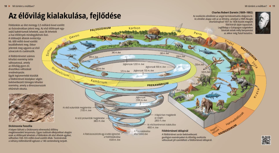 The Development of Fauna and Flora