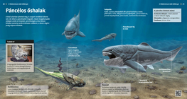 Prehistoric Armoured Fishes