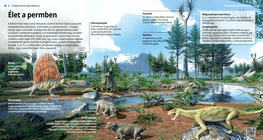Life in the Permian Period