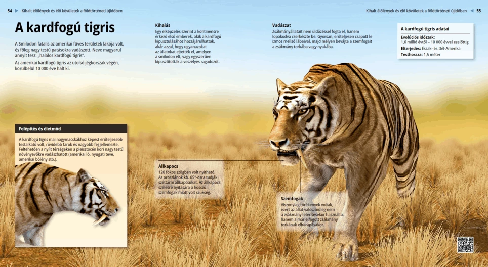 Sabre-toothed Cat