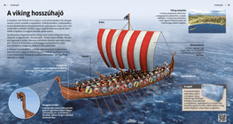 Viking Longships