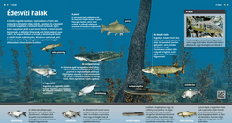 Freshwater Fishes