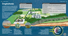 The Greenhouse Effect