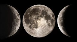 The celestial companion of Earth