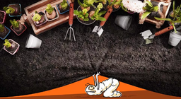 Hur förändras livet i trädgården?