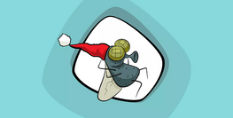 Where do flies hide in winter?