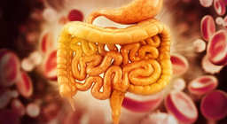 10 things to know about the human gastrointestinal tract