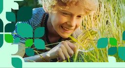 Slätternas flora och fauna