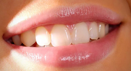 Vad vet vi om tänder?