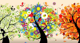 What are the seasons?