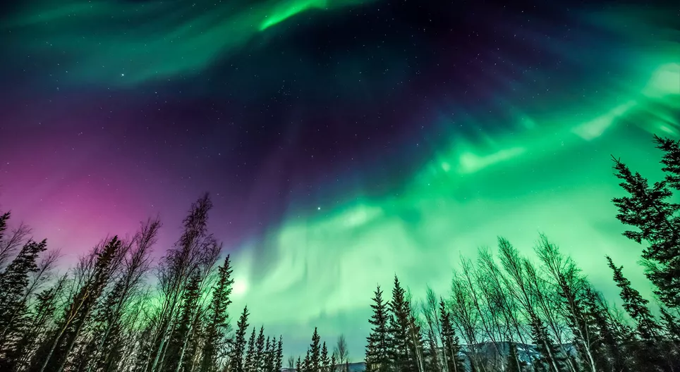 Let's watch polar lights