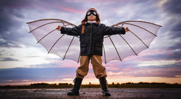 How did humans conquer the air?