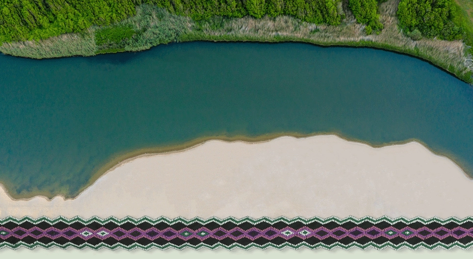 Странджанска фолклорна област