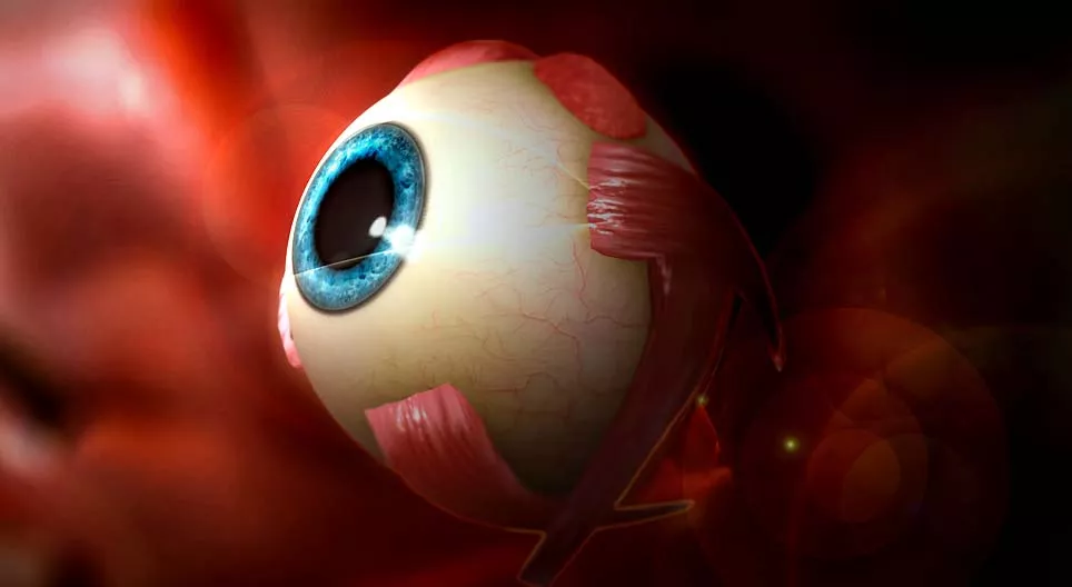 How do we see? The human eye