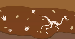 Hur uppstod liv på jorden?