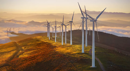 How can wind energy be used?