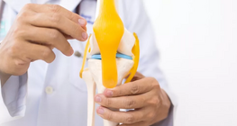 Biomechanical characteristics of tendons and ligaments