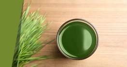 The secrets of grass soup