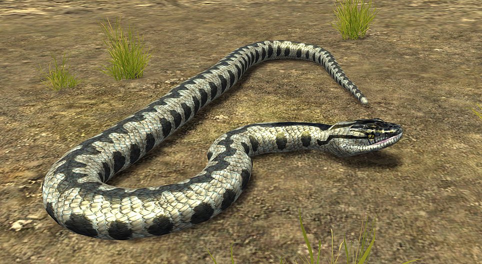 Adder