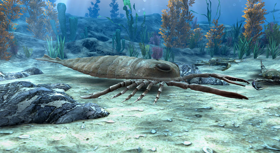 Monsters van de oerzee, zeeschorpioenen