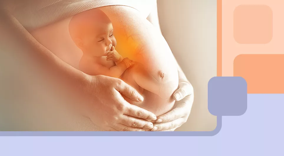 What happens to a woman's body during pregnancy?