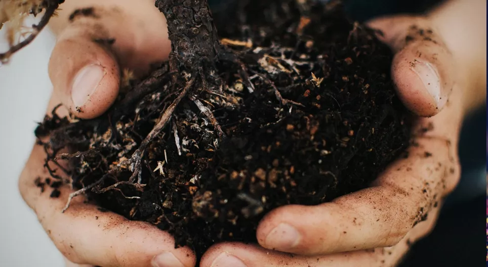 Como se forma o solo?