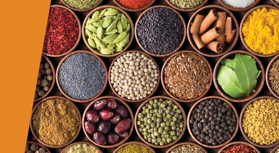 Milhares de sabores na tua língua