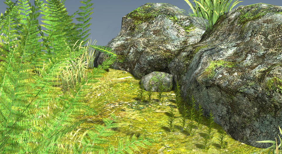 Ciclo de vida dos musgos e dos fetos