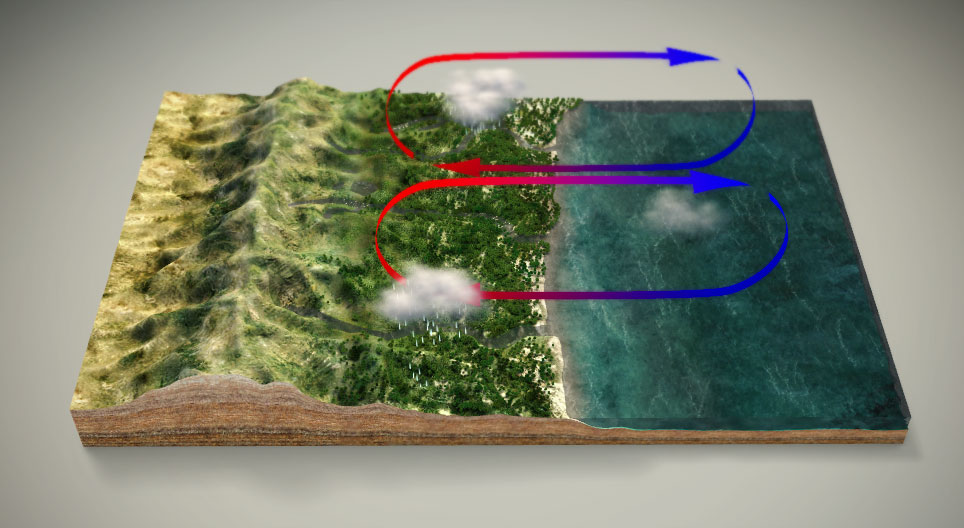 Sistema de ventos monçónicos