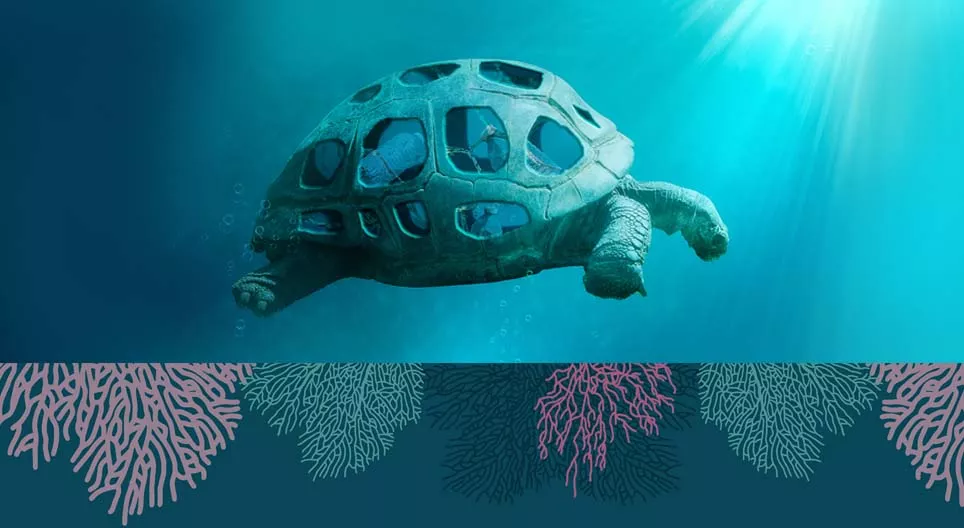 Processos que ameaçam nossos oceanos