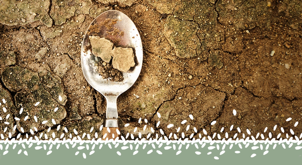 Crise global de alimentos