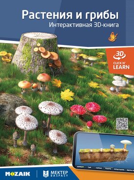 Book KZ-MTP-6417-RU