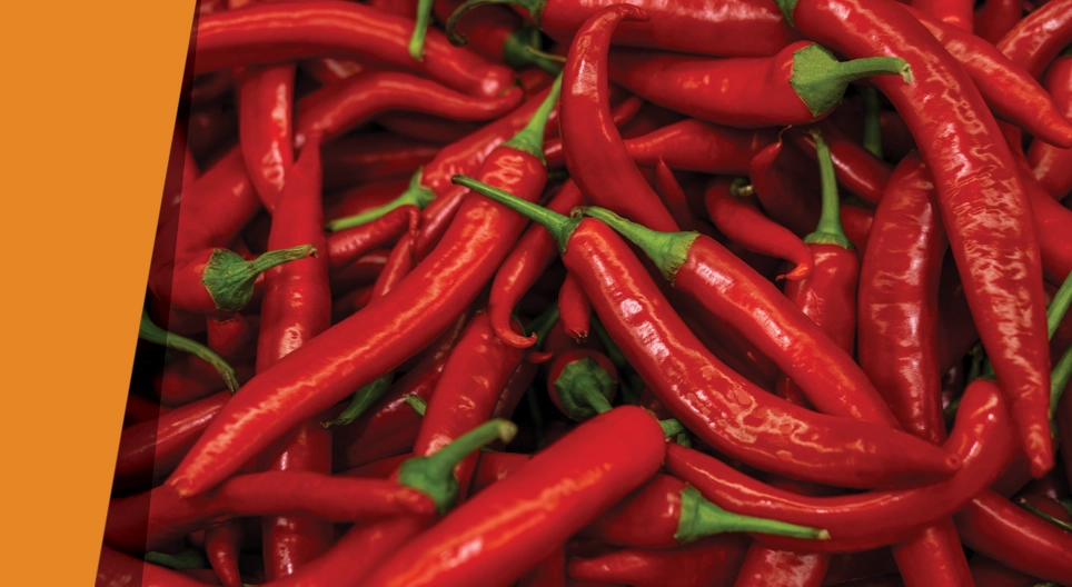 Подобный подобному радуется